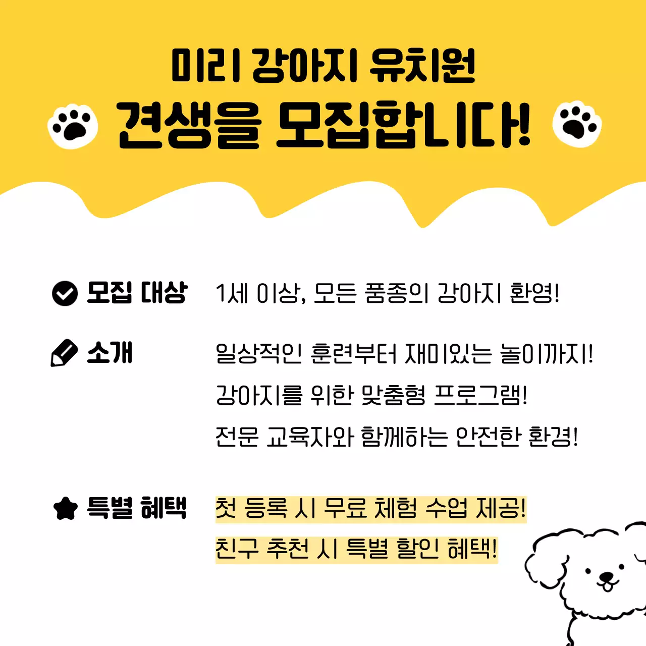 노랑 아기자기한 강아지 유치원 홍보