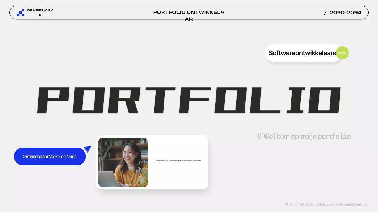 Introductie van de Grijze Moderne Portefeuille