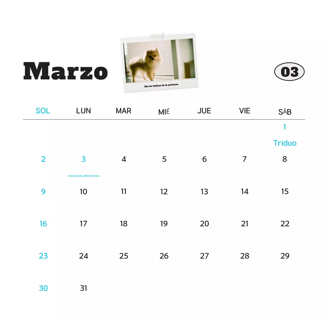 Calendario de fotos de mascotas blanco y limpio