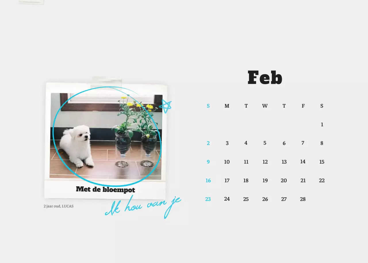 Witte Nette Ballet Dierenfotokalender