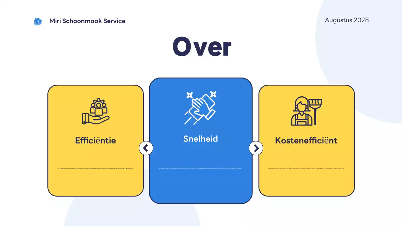 blue modern cleaning service introductie