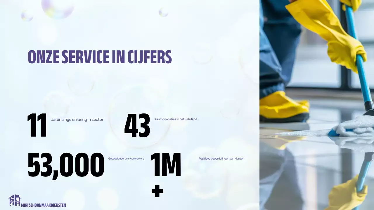 lichte moderne reinigingspresentatie