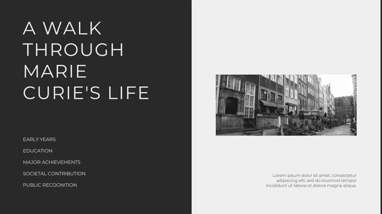 Black Classic Biography Presentation