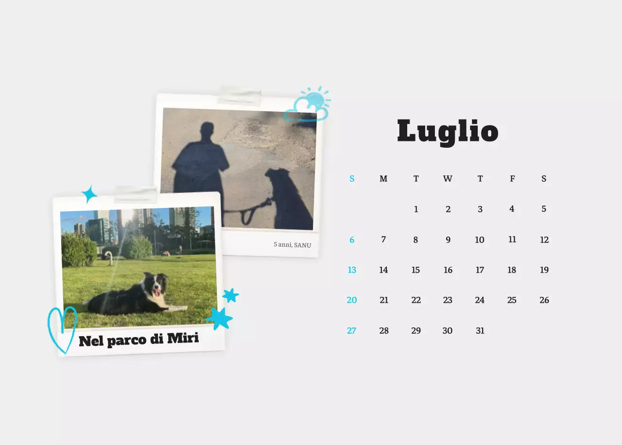 Calendario fotografico degli animali del balletto bianco e ordinato