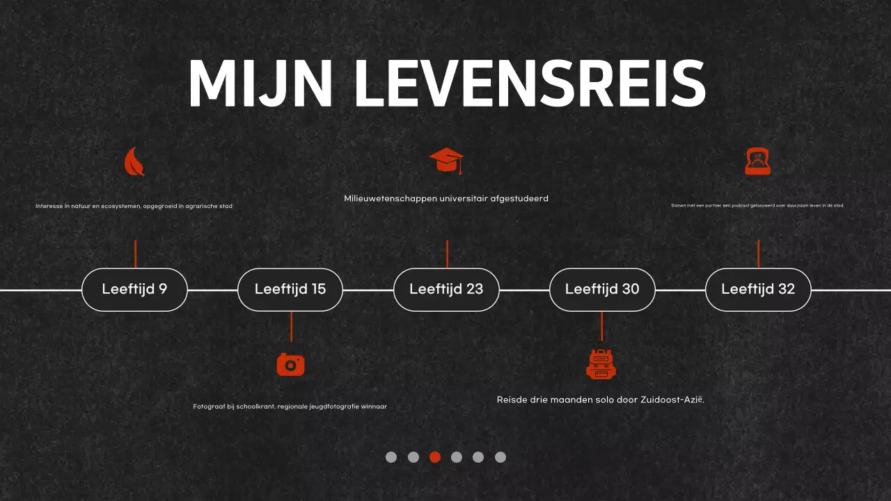 zwart modern portfolio document
