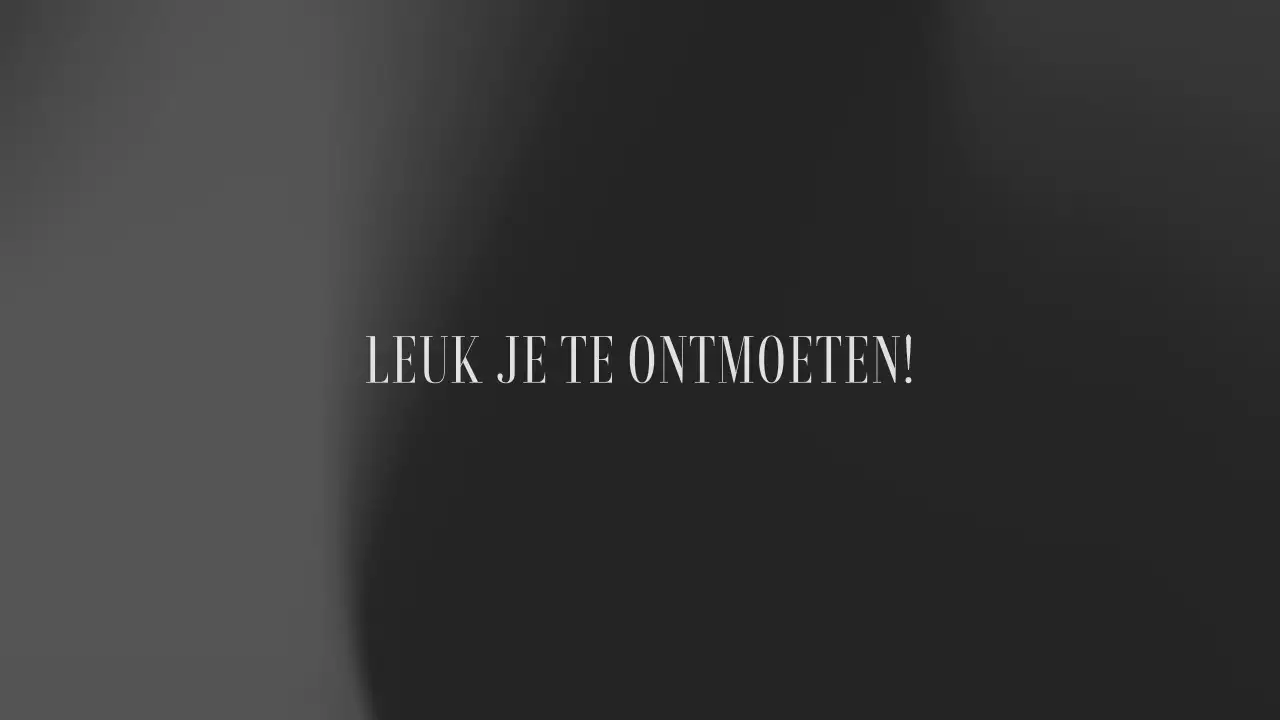 grijs esthetisch klassiek inleiding portfolio presentatie