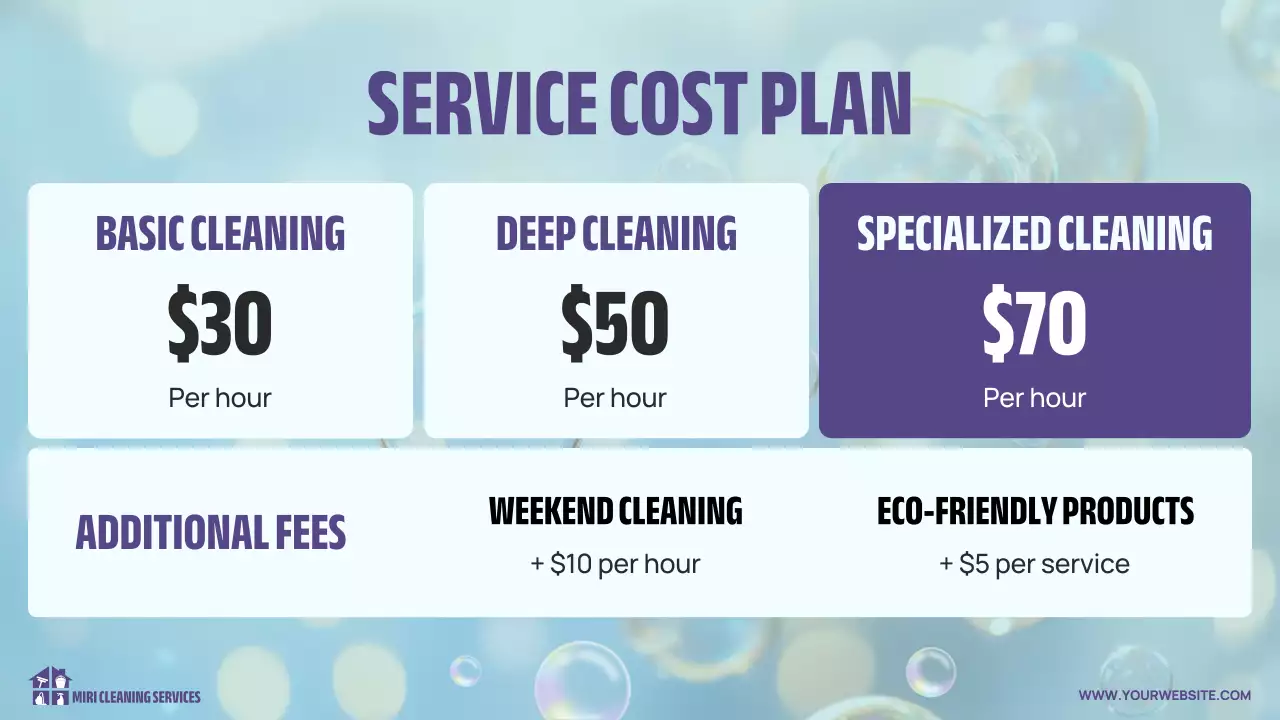 Blue Professional Cleaning Presentation