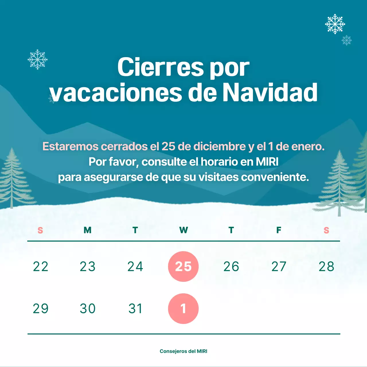 Anuncio de cierre de Mint Tidy