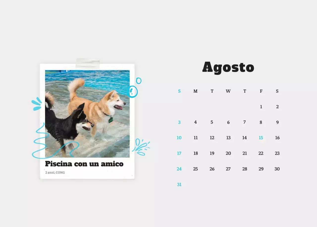 Calendario fotografico degli animali del balletto bianco e ordinato
