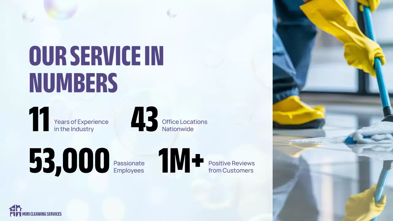 Blue Professional Cleaning Presentation