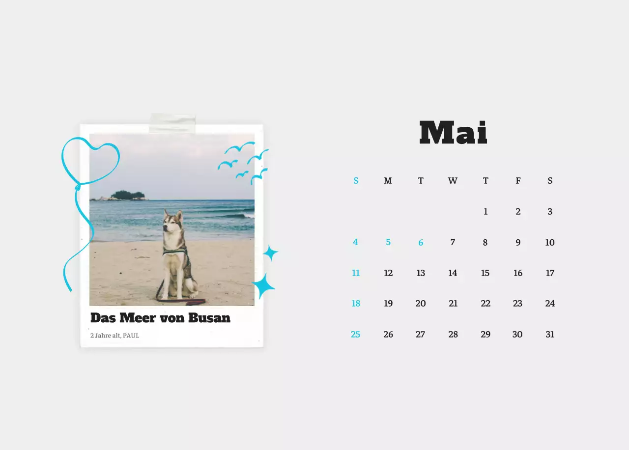 Weißer Neat Ballet-Tier-Fotokalender