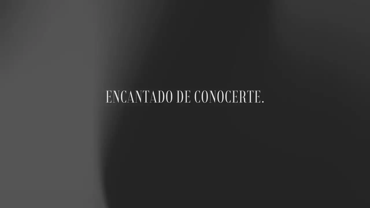 grey aesthetic classic introduction portfolio presentation