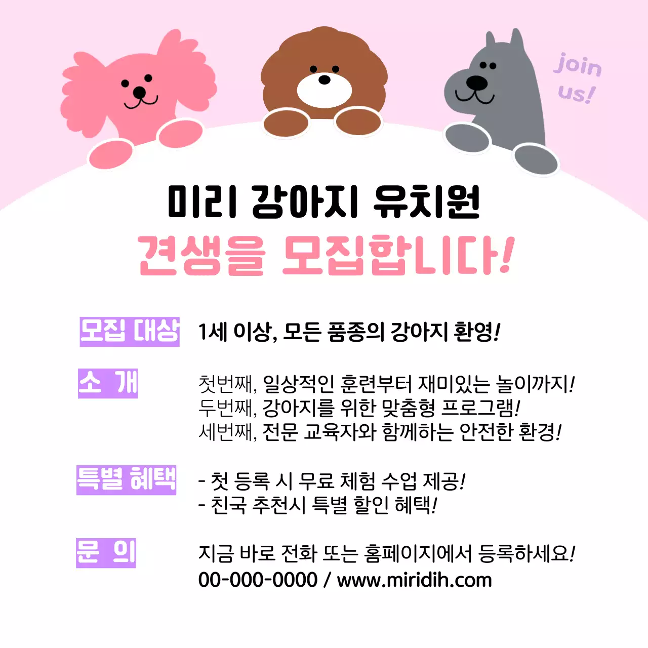 핑크 아기자기한 반려동물 홍보