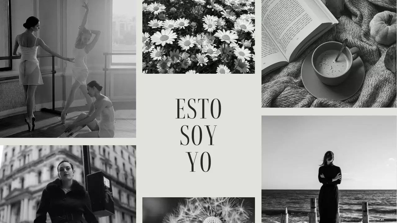 grey aesthetic classic introduction portfolio presentation