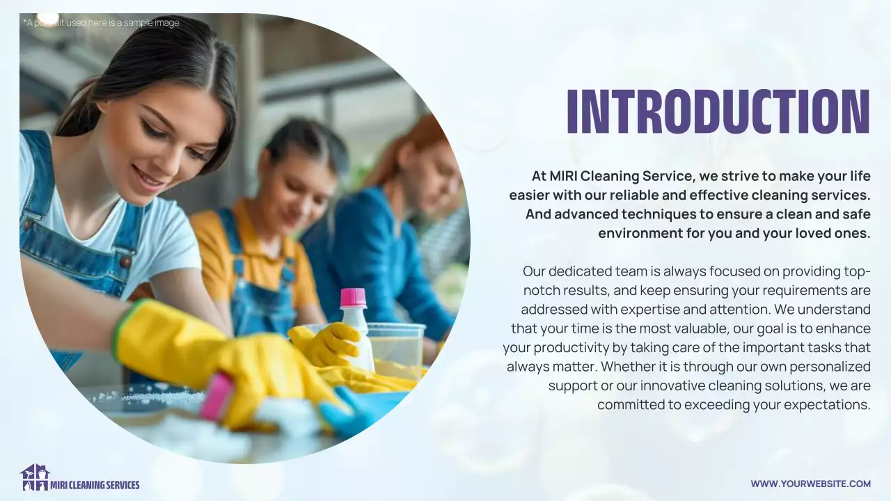 Blue Professional Cleaning Presentation