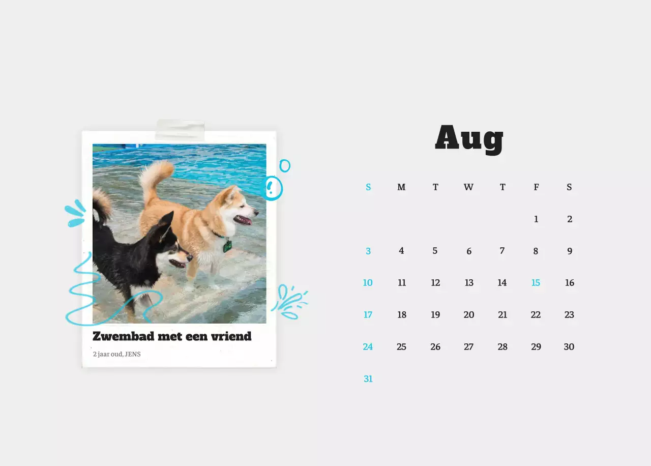 Witte Nette Ballet Dierenfotokalender