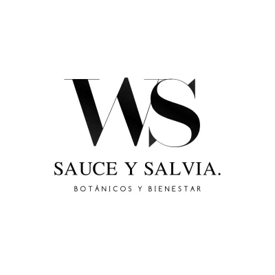 negro negrita Letra WS wellness logo