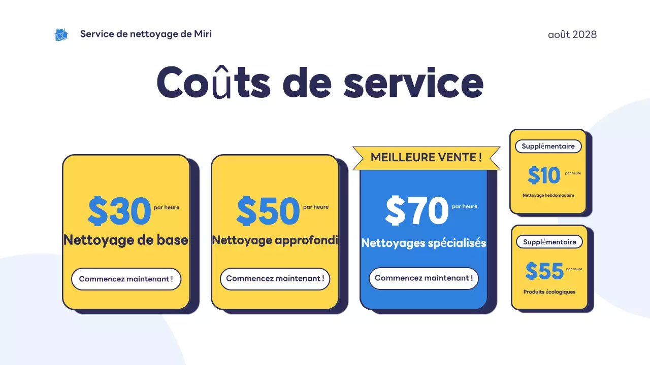 blue modern cleaning service introduction