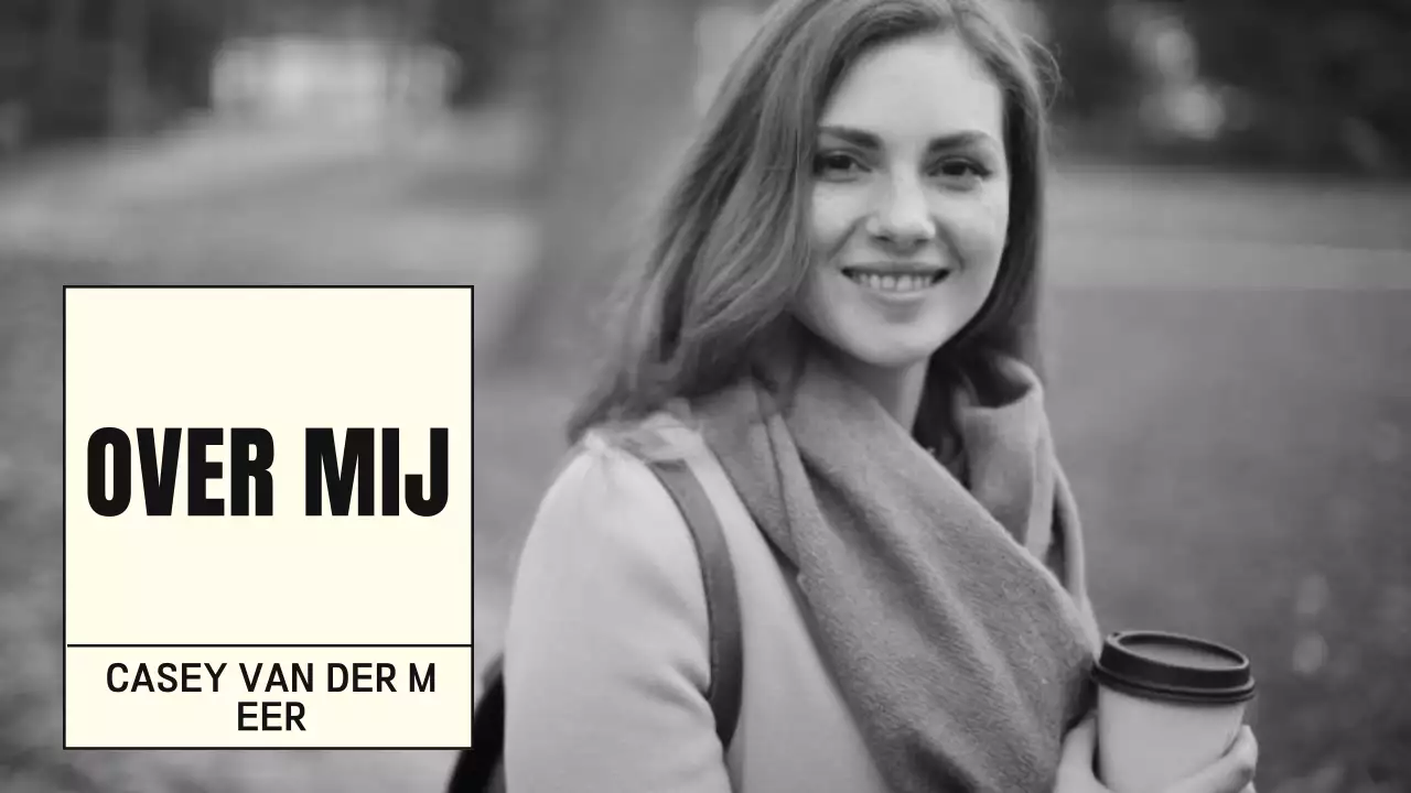 zwarte minimale biografie portfolio