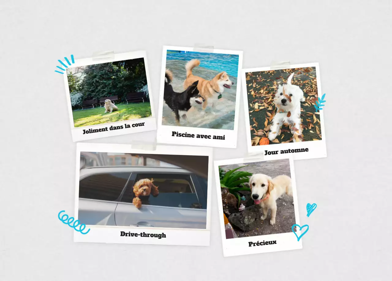 Calendrier photo blanc Neat Ballet Animal