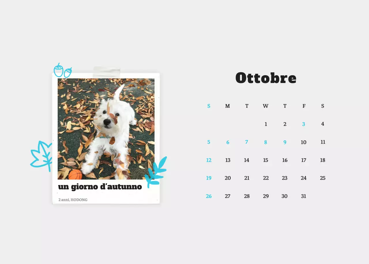 Calendario fotografico degli animali del balletto bianco e ordinato