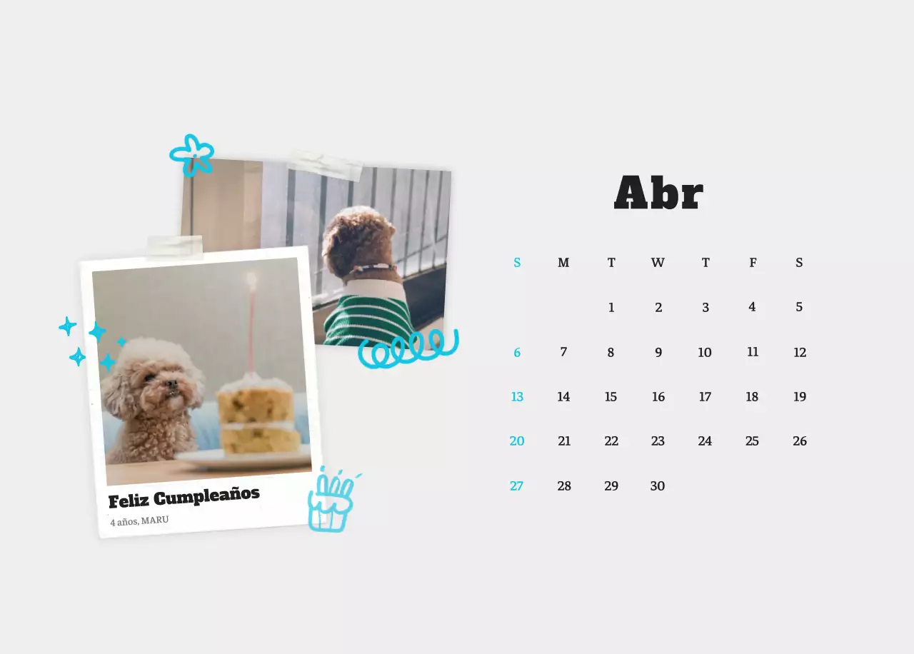 Ballet Blanco Neat Animal Foto Calendario