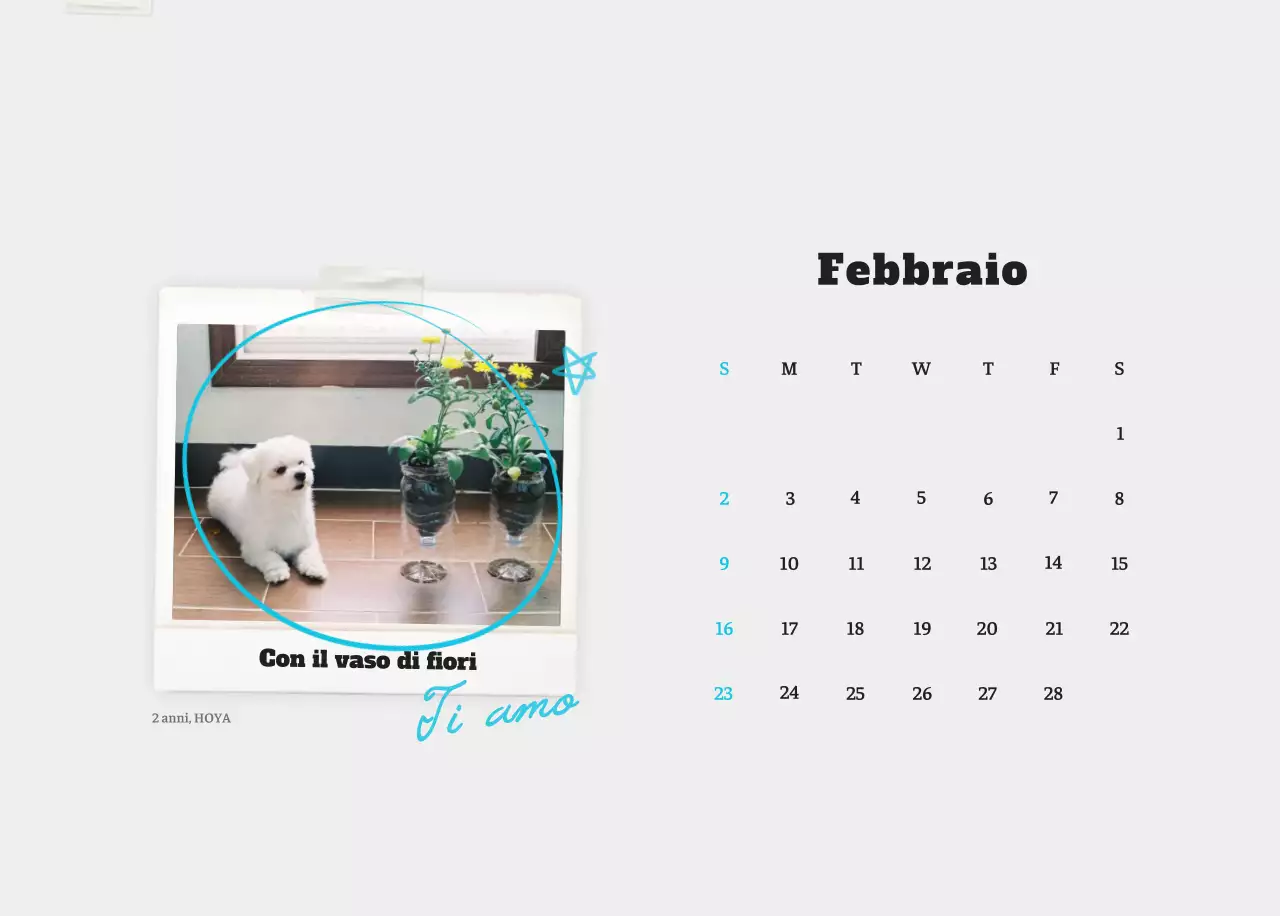 Calendario fotografico degli animali del balletto bianco e ordinato
