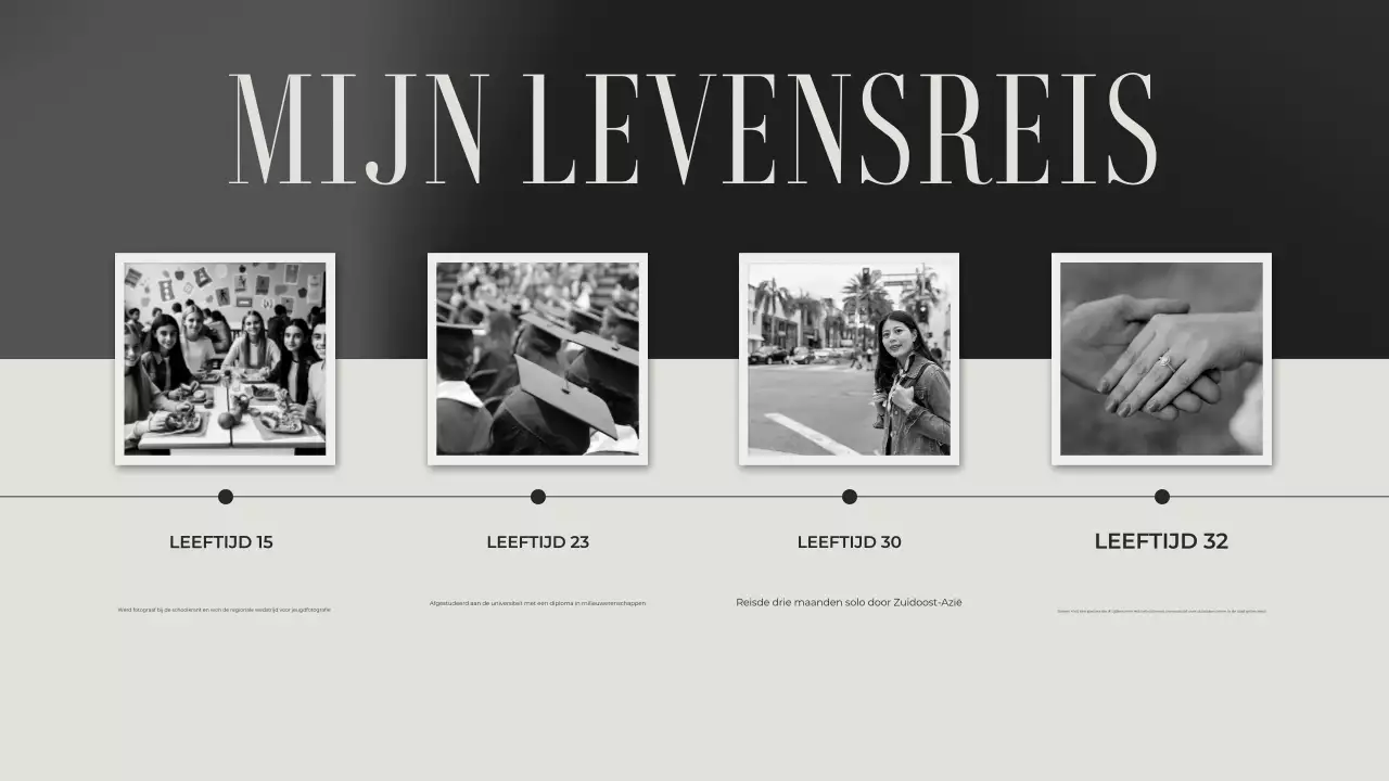 grijs esthetisch klassiek inleiding portfolio presentatie