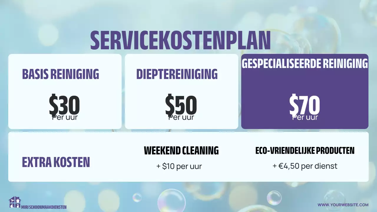 lichte moderne reinigingspresentatie