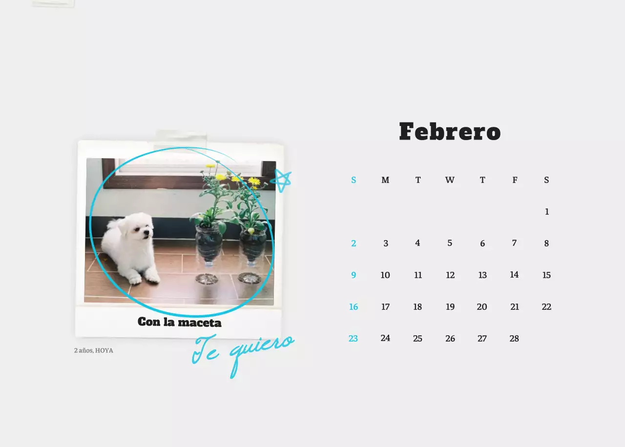 Ballet Blanco Neat Animal Foto Calendario