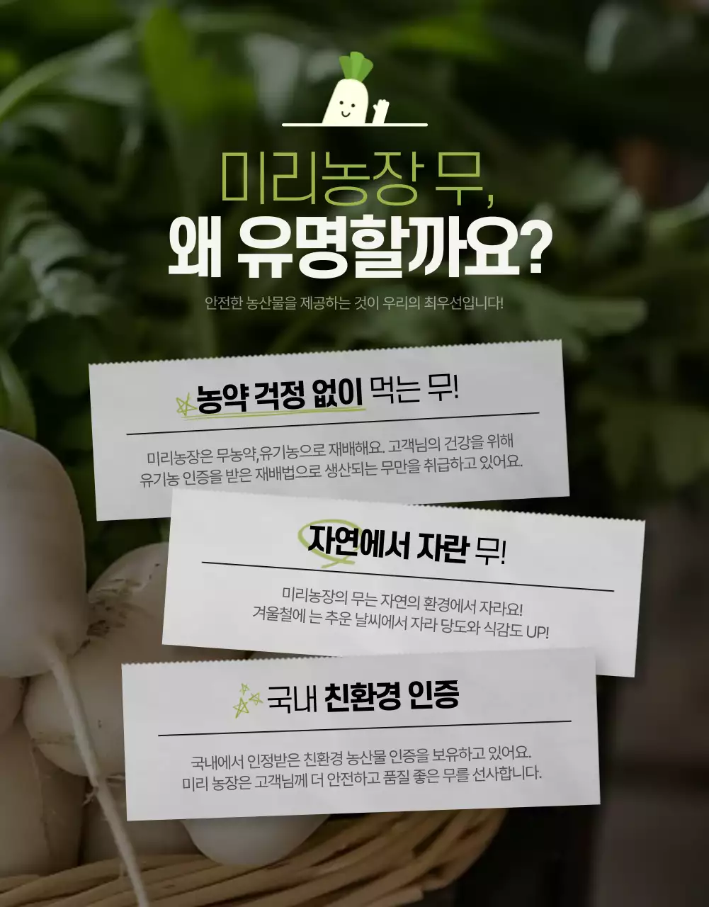 연두 심플 농산물 홍보