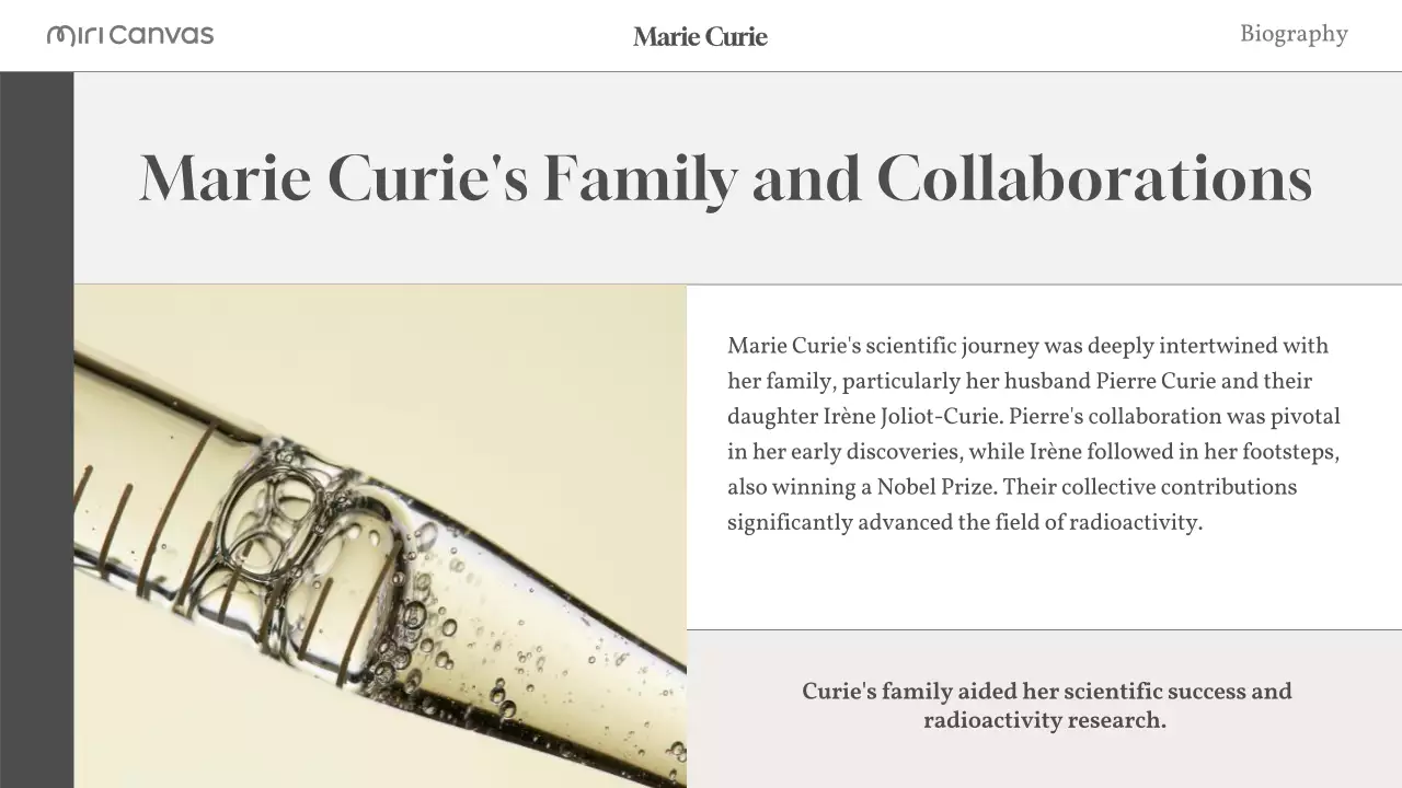 Beige Modern Biography Guide Presentation