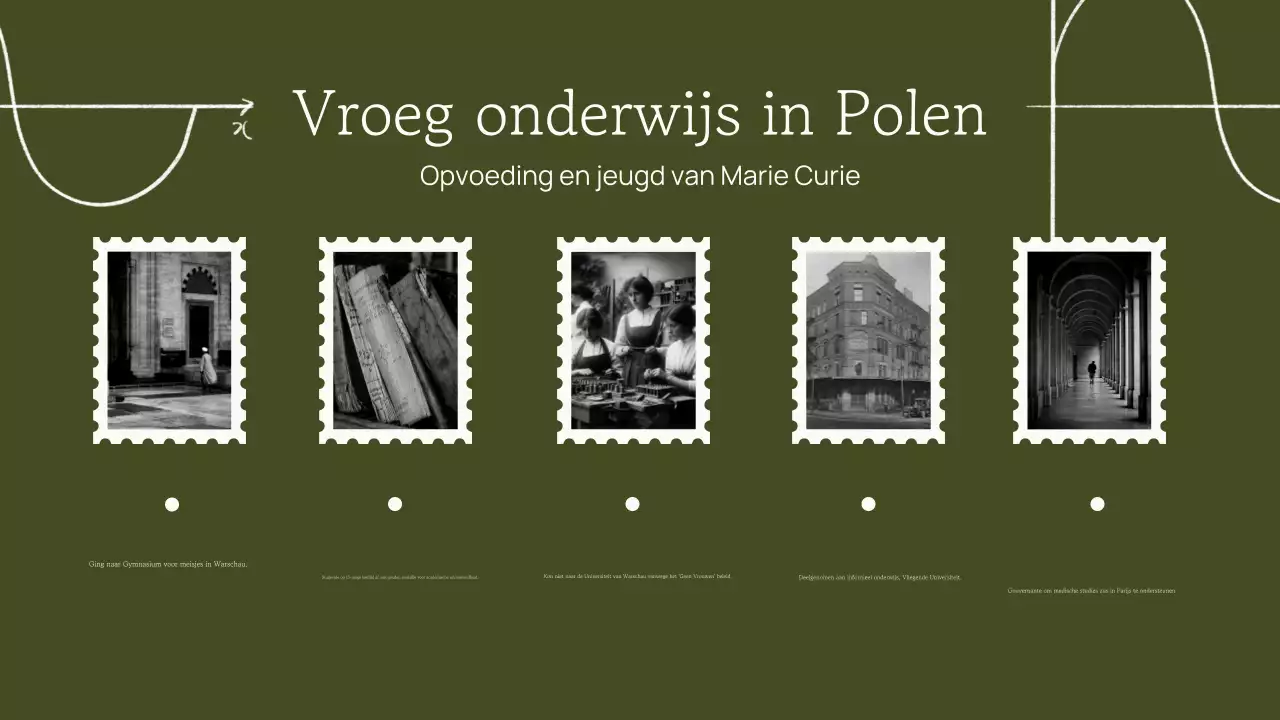 Professionele Trendy Academische Historische Cijfer Presentatie