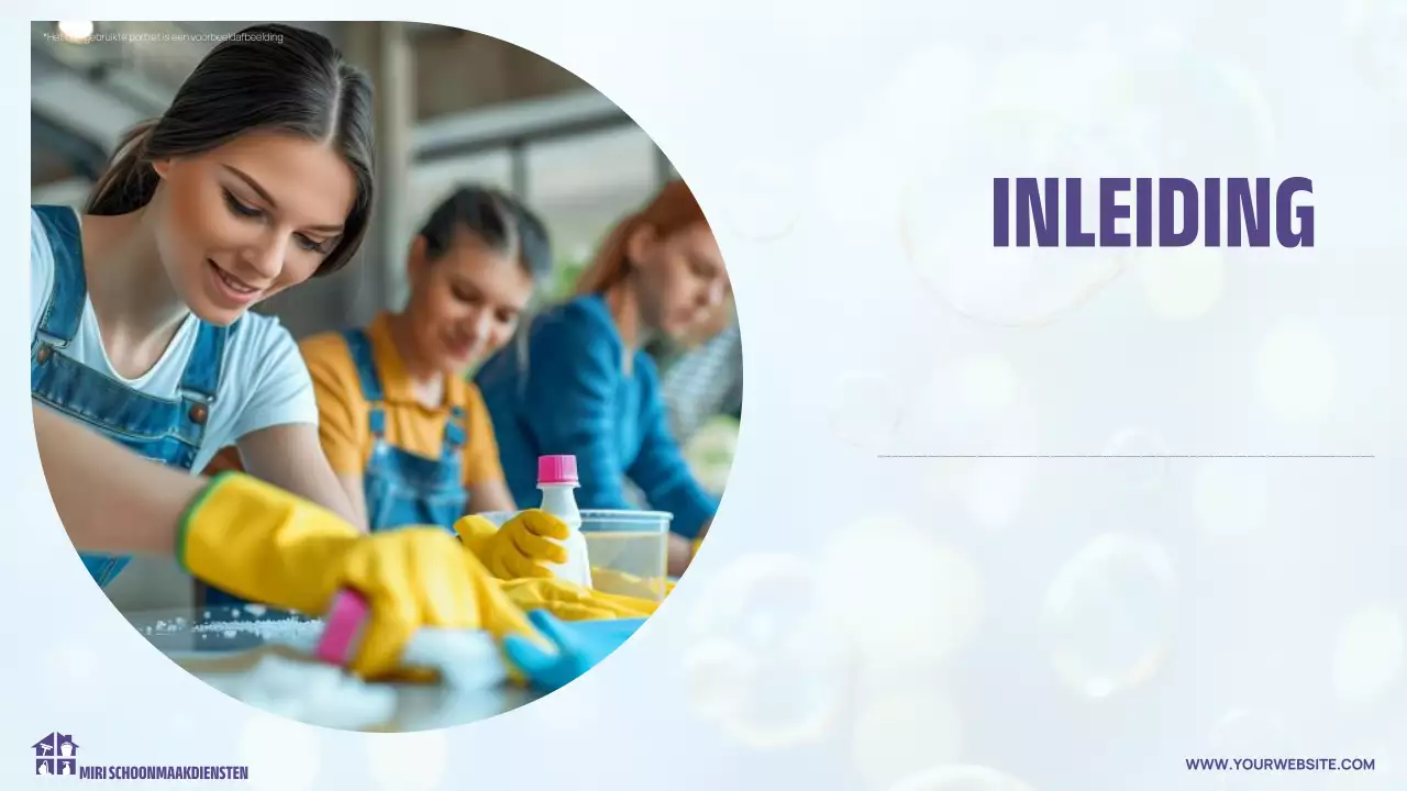 lichte moderne reinigingspresentatie