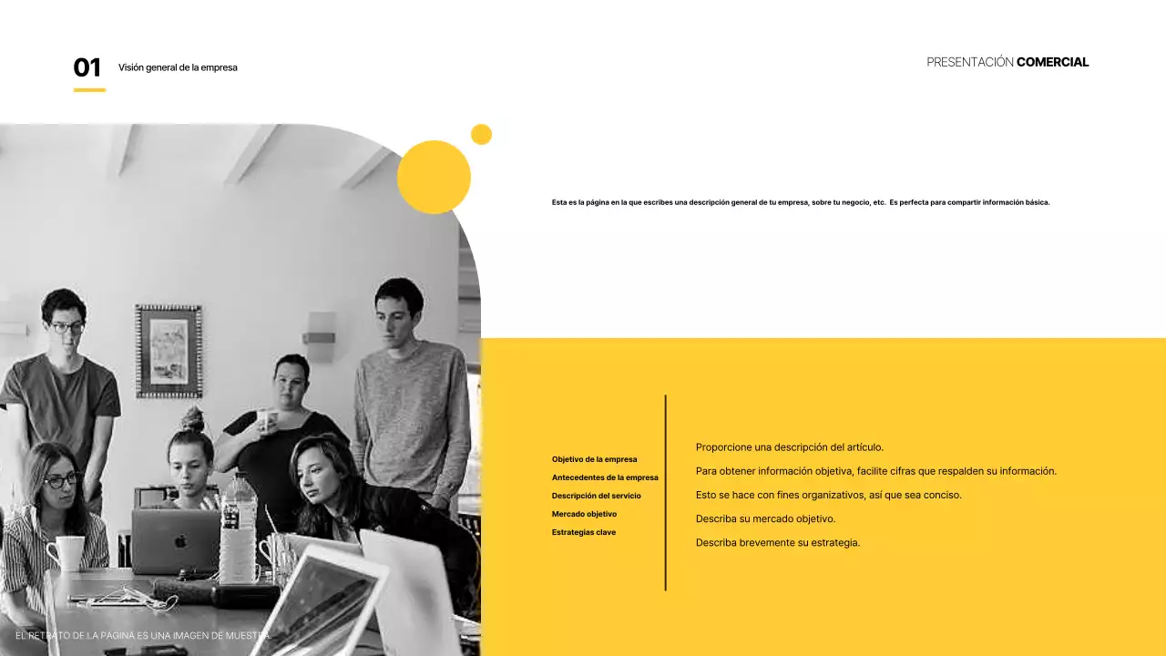 Amarillo Informes empresariales básicos