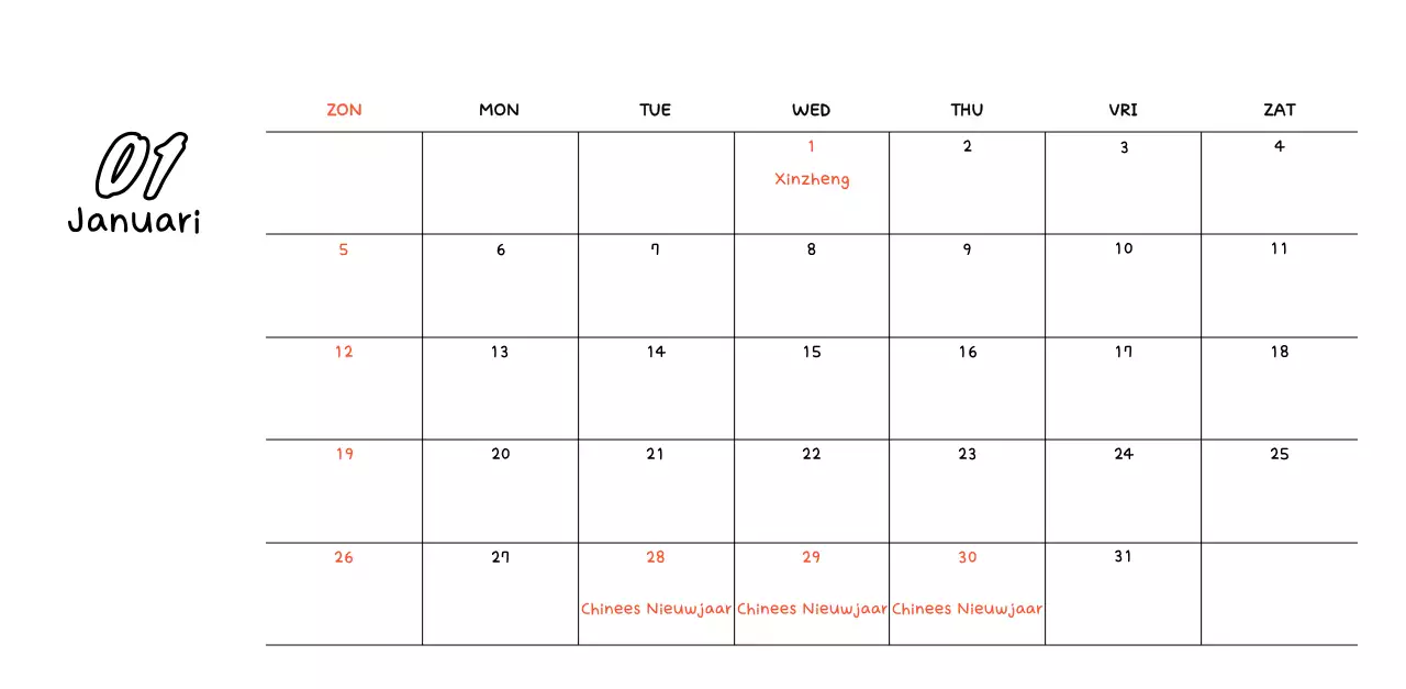 Vier het nieuwe jaar in het wit