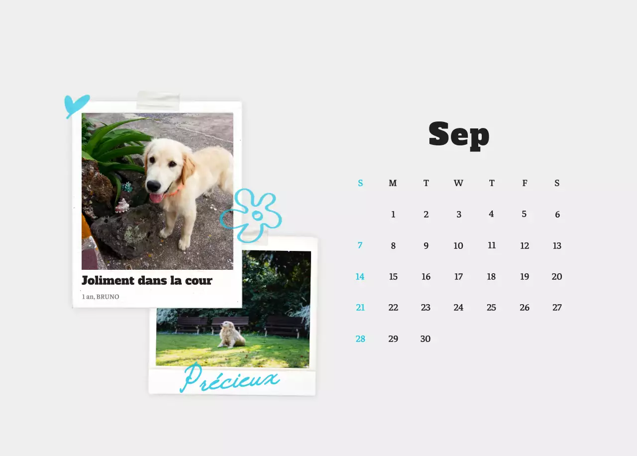 Calendrier photo blanc Neat Ballet Animal