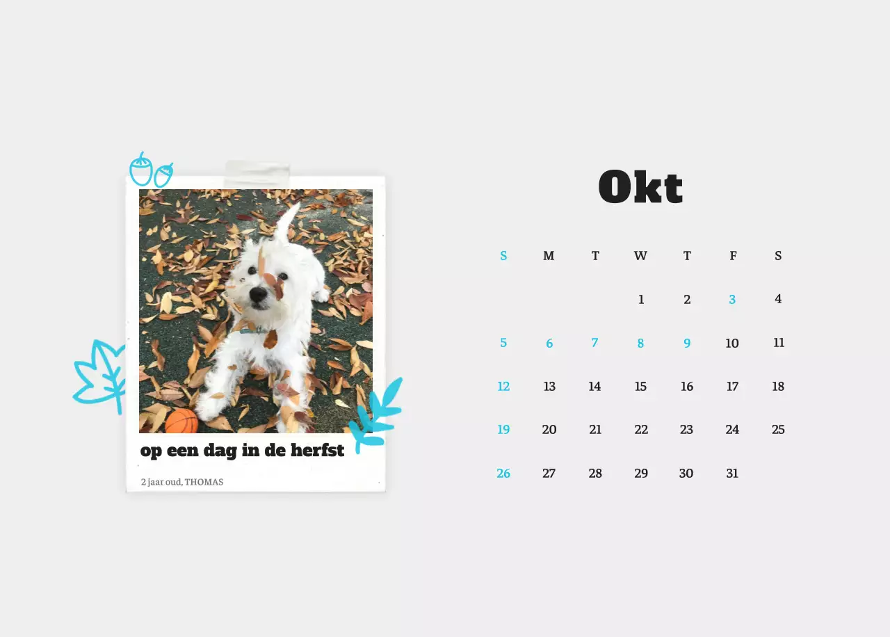 Witte Nette Ballet Dierenfotokalender