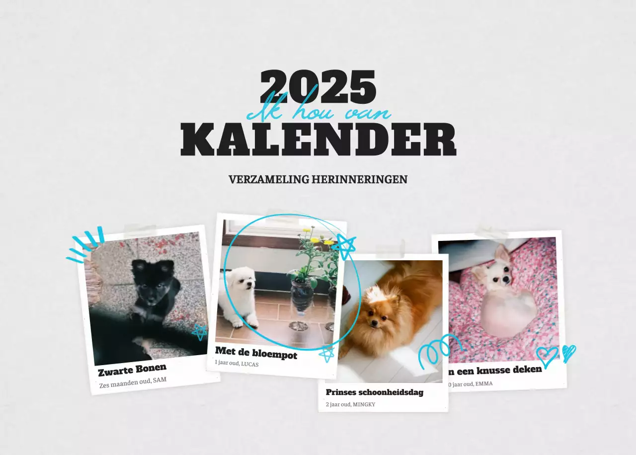 Witte Nette Ballet Dierenfotokalender