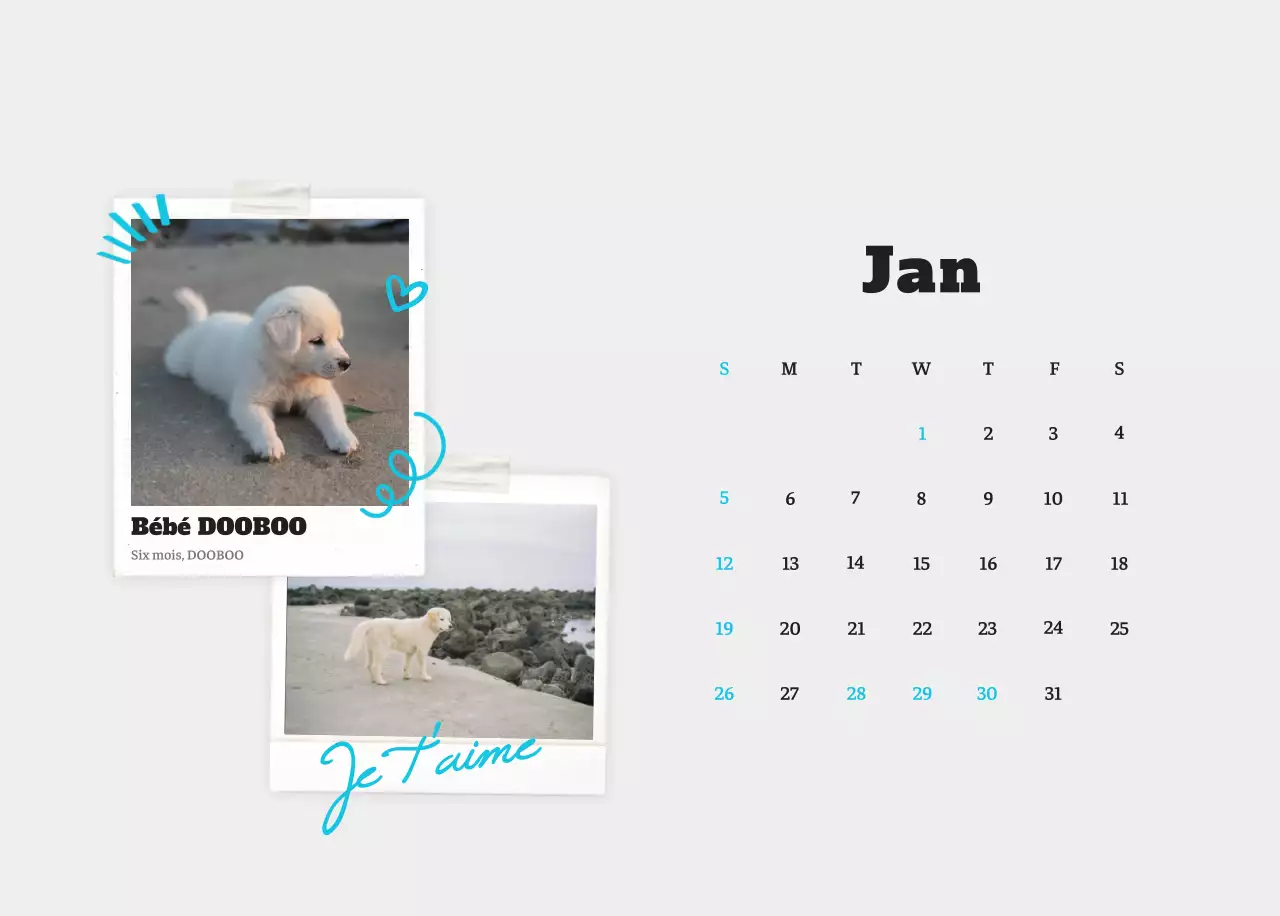 Calendrier photo blanc Neat Ballet Animal