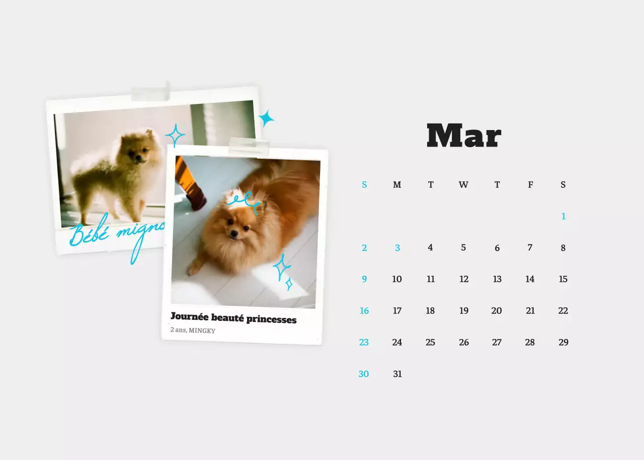 Calendrier photo blanc Neat Ballet Animal