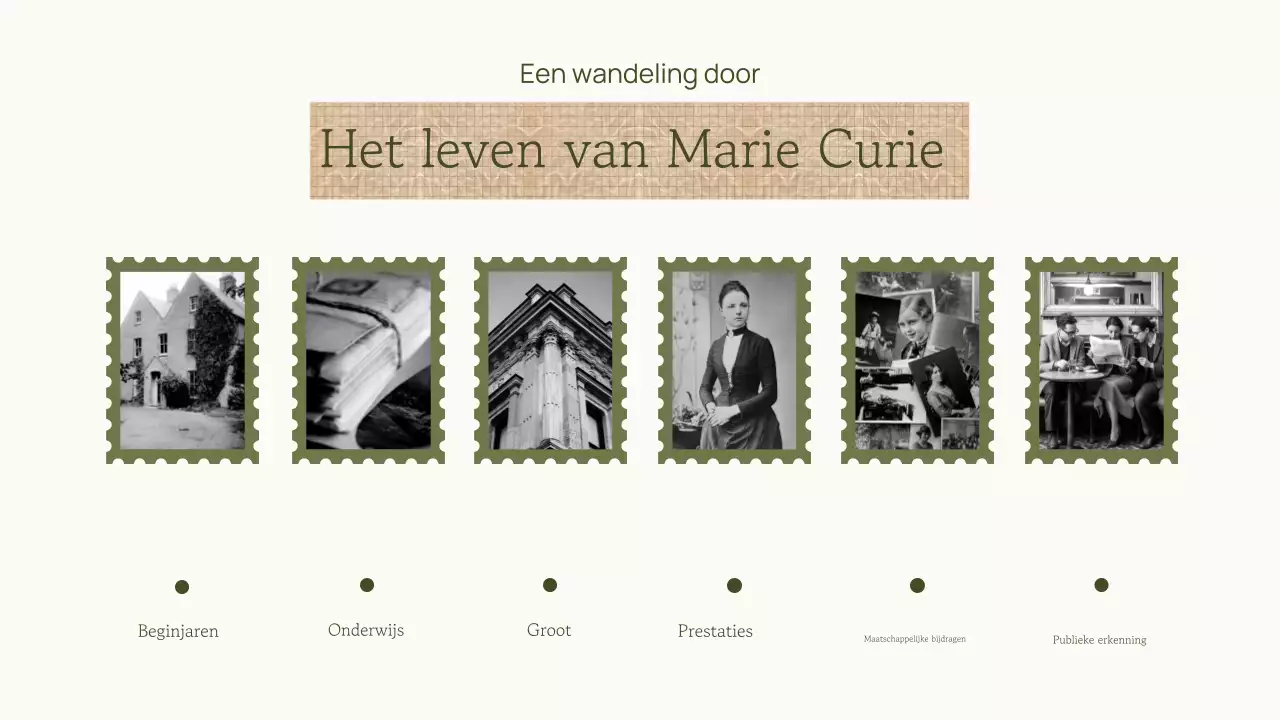 Professionele Trendy Academische Historische Cijfer Presentatie