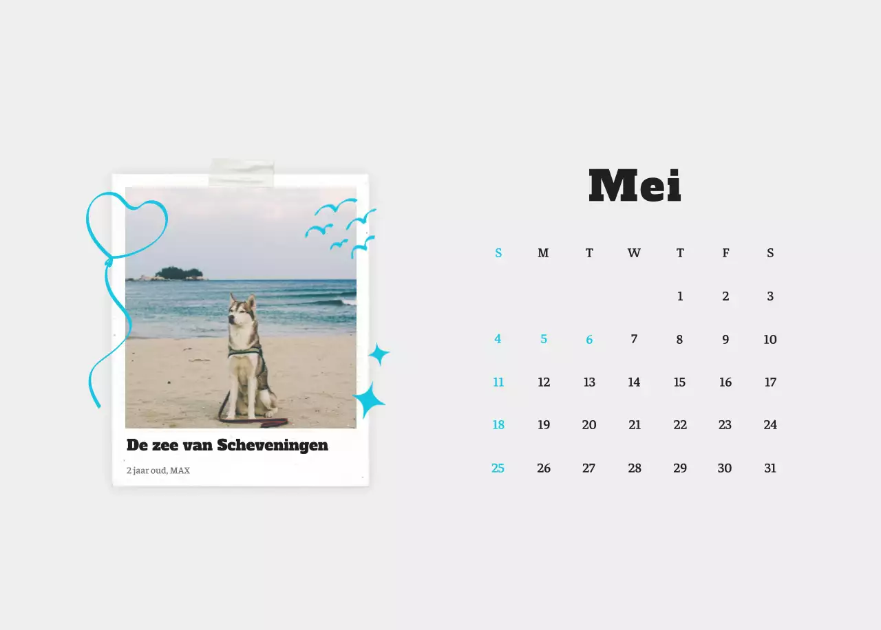 Witte Nette Ballet Dierenfotokalender