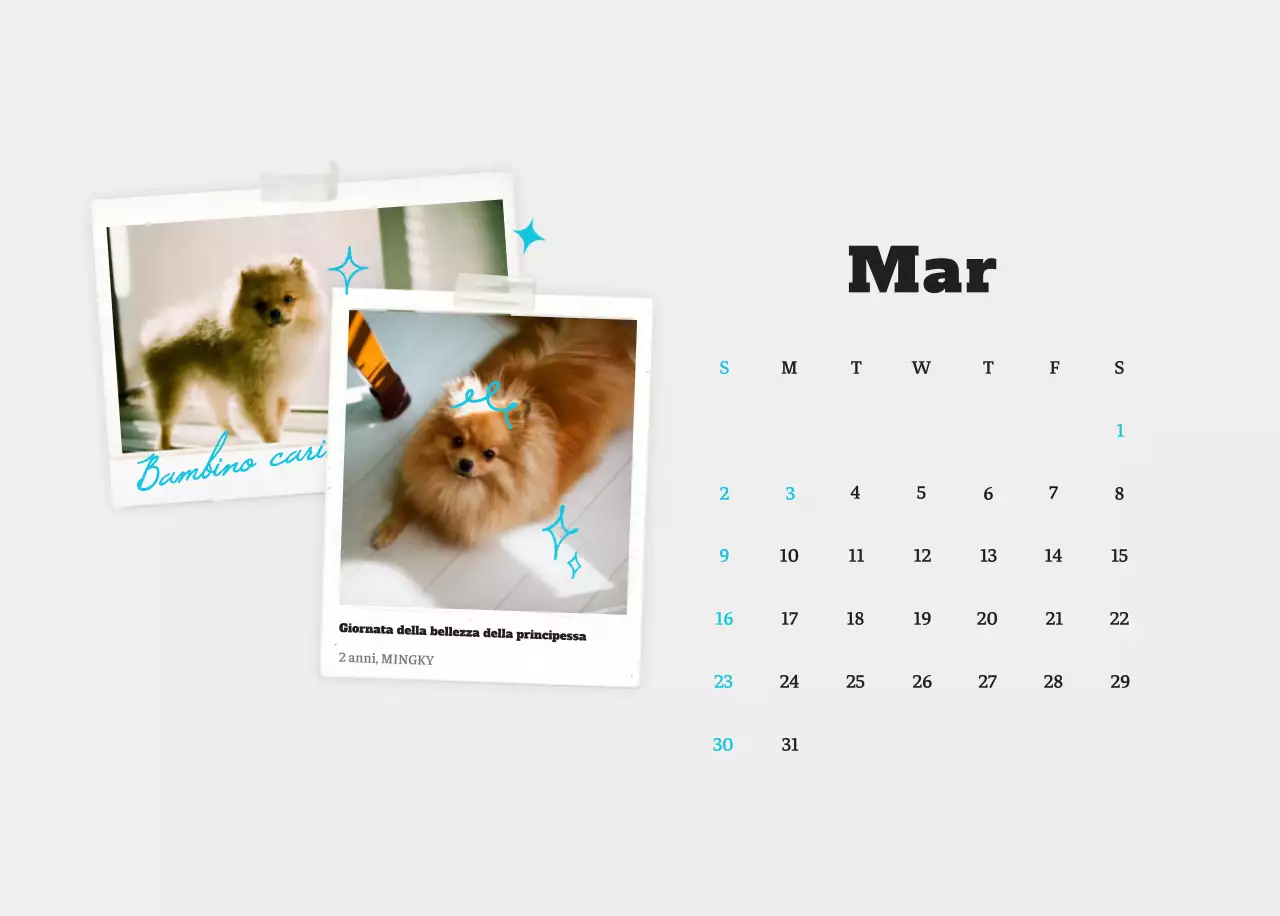 Calendario fotografico degli animali del balletto bianco e ordinato