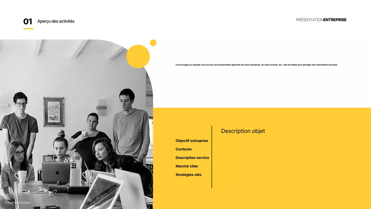 Jaune Rapports commerciaux de base