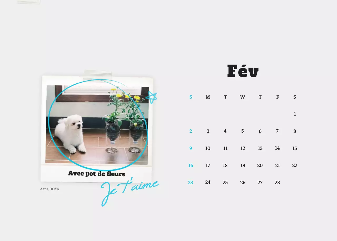 Calendrier photo blanc Neat Ballet Animal