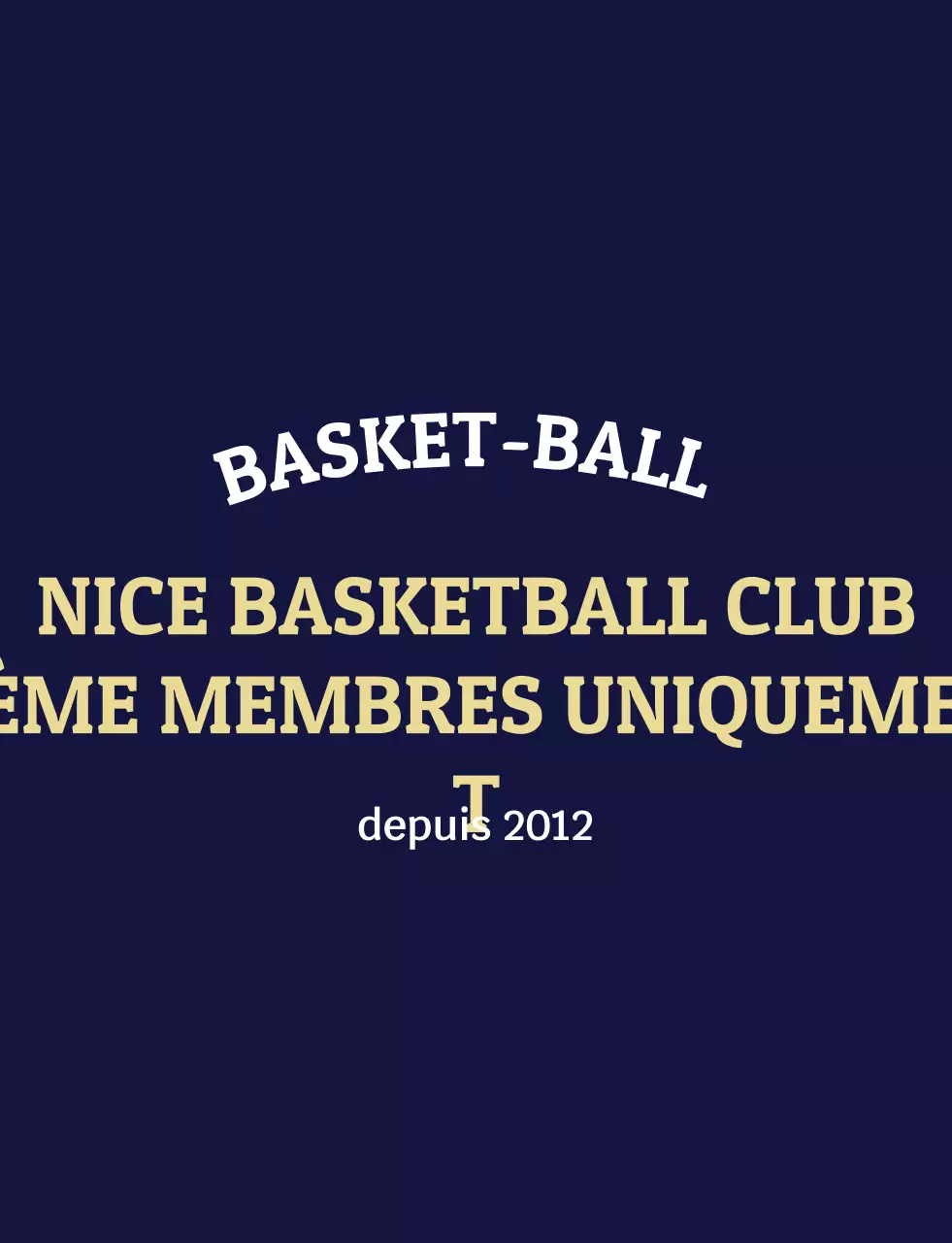 Logo de basket-ball moderne et vintage