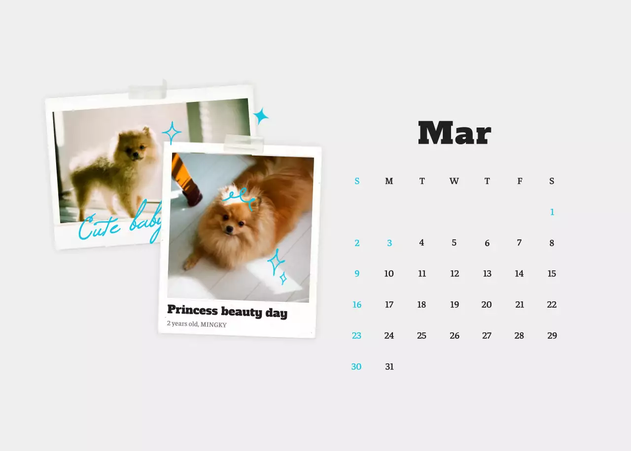 Kalender foto hewan peliharaan putih bersih