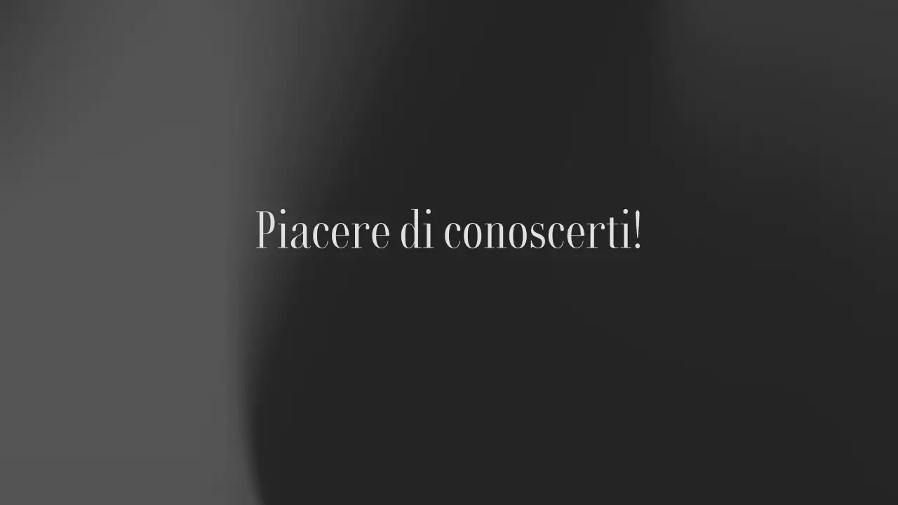 estetica grigia classica introduzione presentazione portfolio