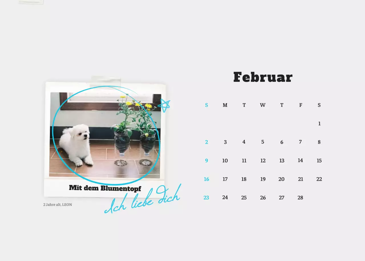 Weißer Neat Ballet-Tier-Fotokalender